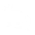 KC Logo